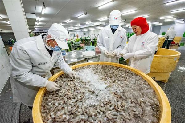 “魚鮮蟹肥”撲騰出海！汕頭海關助牛田洋水產出口