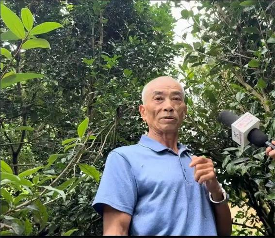 潮州市以“四個+”打好監(jiān)督“組合拳” 守護(hù)鳳凰山“高顏值”生態(tài)綠