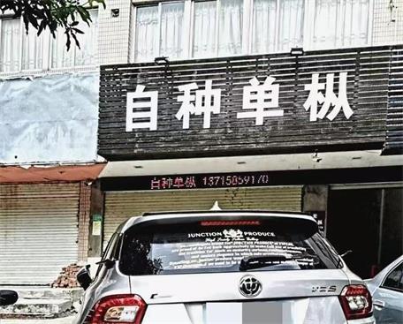 自種單叢