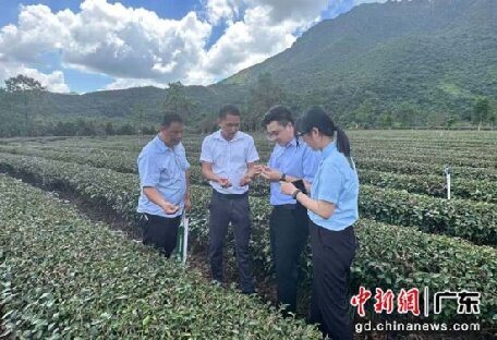 金融賦能產業發展 助汕尾推動“百千萬工程”