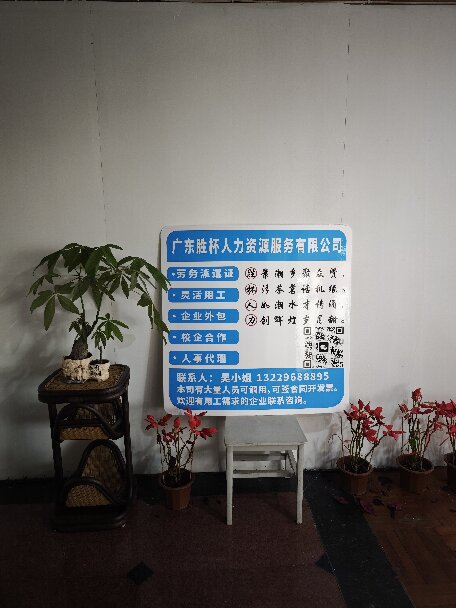 廣東勝杯人力資源服務有限公司